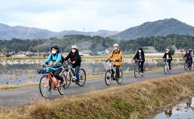 コハクチョウが羽を休める田んぼ沿いの道を走る参加者＝安来市内