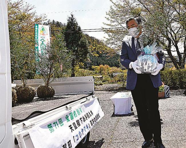 コウヤマキの苗木を軽トラックの荷台に積み込む松中剛さん＝島根県吉賀町有飯