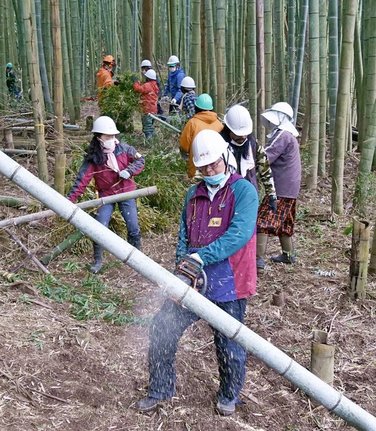 竹を伐採する参加者＝島根県川本町川下