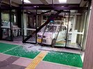 島根県庁入り口に突っ込んだ軽自動車
