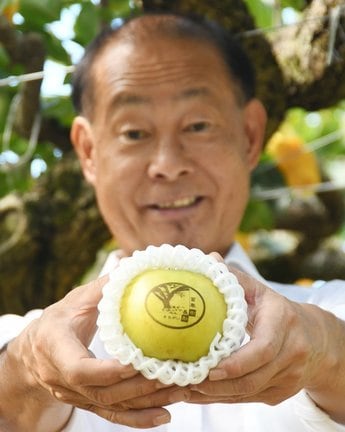縁起物として販売する「百年樹　長樹まちがい梨」＝安来市久白町