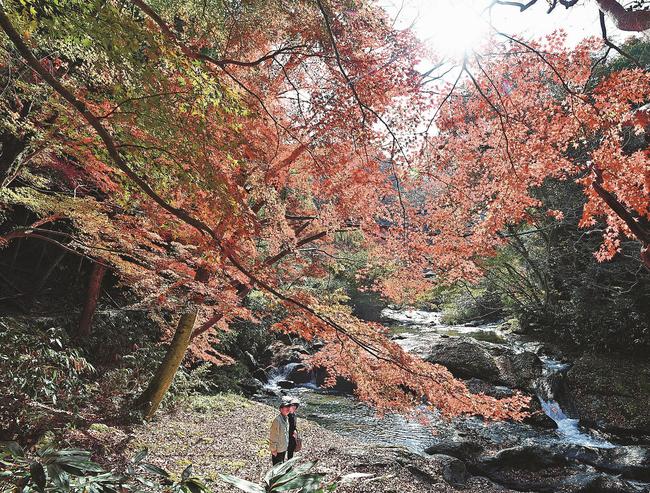 八重滝の紅葉を楽しむ観光客＝雲南市掛合町入間