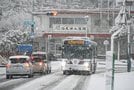 雪が積もった大田市内＝２１日午前８時４６分、大田市大田町、ＪＲ大田市駅前