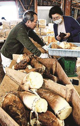集荷場に持ち込まれたばかりの新鮮なタケノコを求める客（右）＝安来市島田町、島田加工農業協同組合