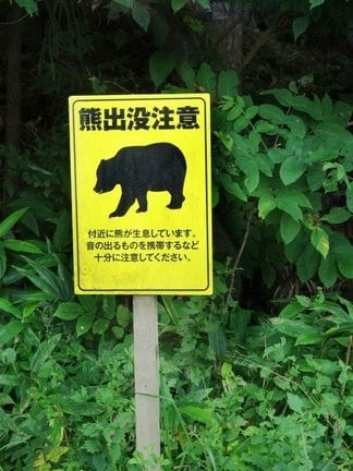 熊に遭遇したらどうする？身を守るために知っておきたい熊よけ対策アイテム＆心得