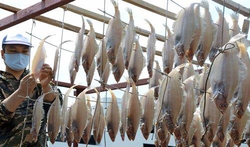 干しガレイを作る生産者＝浜田市港町、多田商店