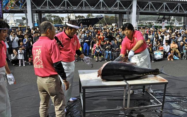 クロマグロの解体ショーを行う関係者（前回の境港水産まつり）