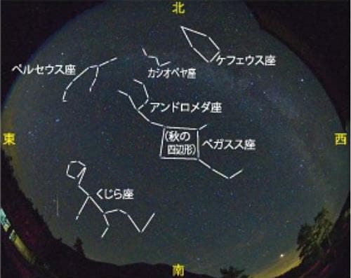 秋の夜空＝２０１８年８月１３日、三瓶自然館サヒメルで魚（ぎょ）眼（がん）レンズで撮影（さつえい）、１１月中旬なら午後８時ごろ、このように見える