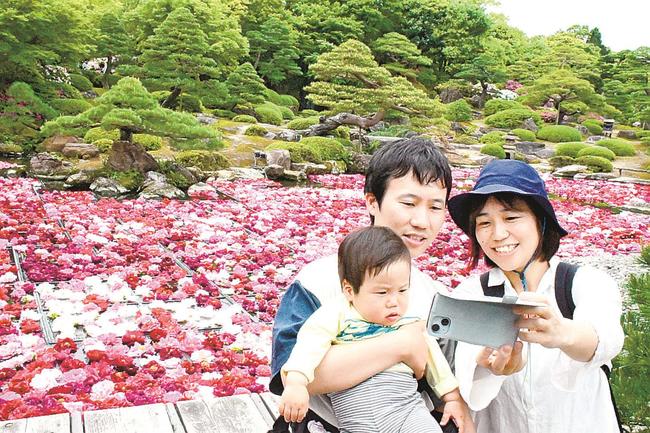 ボタンが浮かぶ池の前で写真を撮る家族連れ=松江市八束町波入、日本庭園・由志園