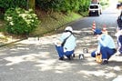 自転車同士が衝突した事故現場を調べる捜査員=鳥取市湖山町南4丁目、鳥取大学