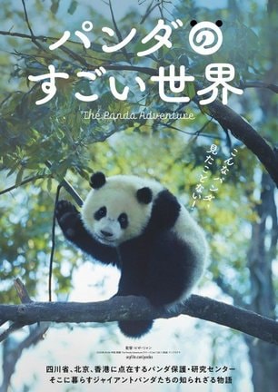映画『パンダのすごい世界』 2026年2月6日よりTOHOシネマズシャンテほか全国順次公開決定