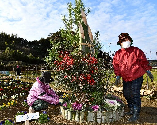 休耕田を活用した花壇にお目見えした門松＝益田市本俣賀町