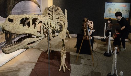アウカサウルスの全身骨格標本に見入る家族連れ=大田市三瓶町、サヒメル