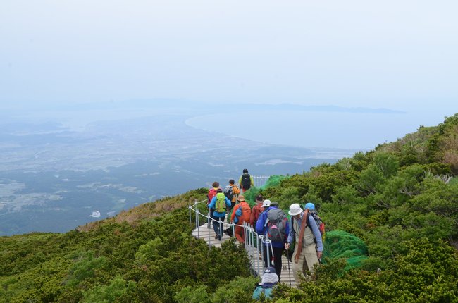 国の天然記念物大山キャラボクが茂る山頂直下の木道を歩く登山者＝鳥取県大山町大山