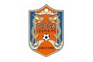 ディオッサ出雲ＦＣ