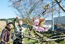 一足先に咲き始めた河津桜を楽しむ人＝雲南市大東町養賀