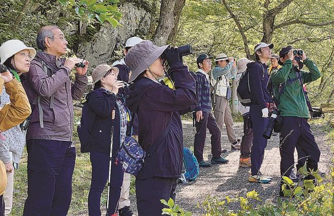 双眼鏡を手に野鳥を探す参加者＝鳥取県大山町大山