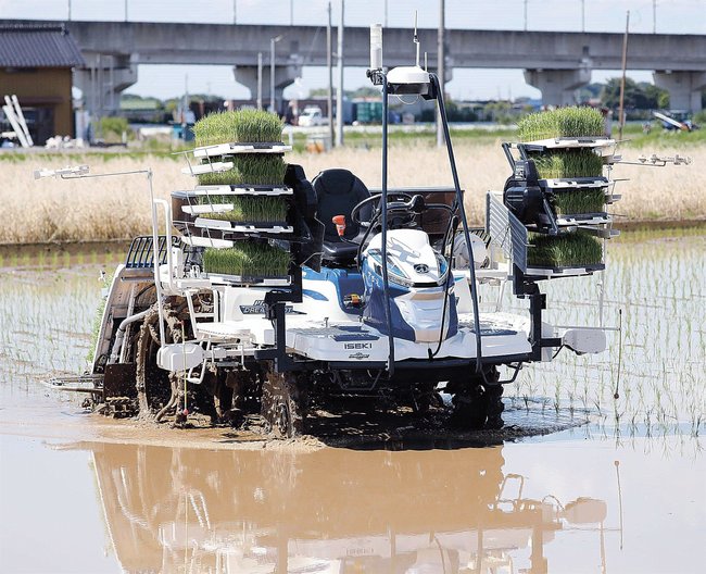 誰も乗せずに水田を進むロボット田植え機＝６月、茨城県つくばみらい市