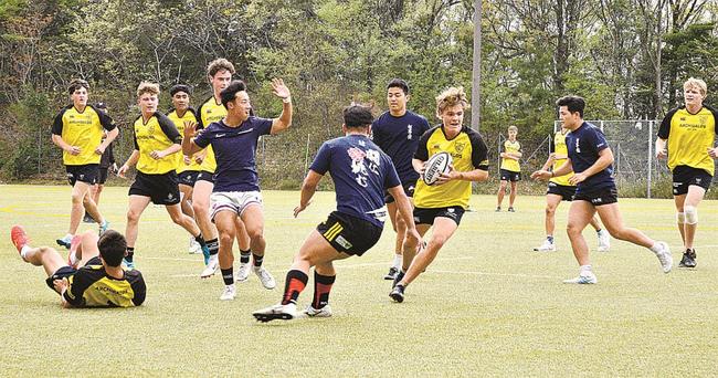 実戦形式の練習で交流する石見智翠館高校とクライストカレッジのラグビー部員＝江津市渡津町、石見智翠館高校