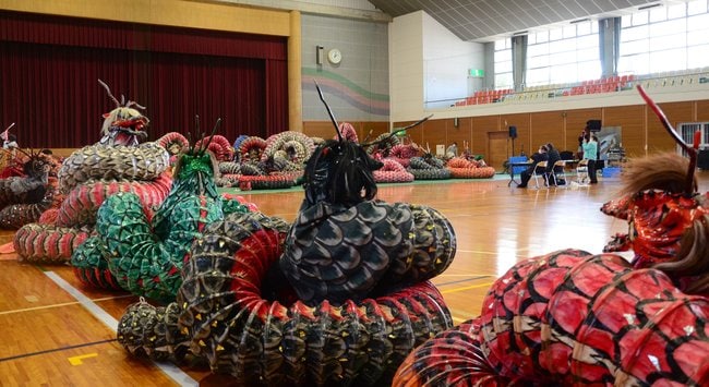５０頭が躍動する「大蛇」のリハーサル＝浜田市金城町七条、ふれあいジムかなぎ
