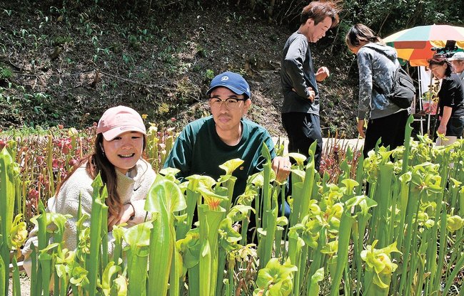 食虫植物を眺める来場者＝雲南市大東町塩田