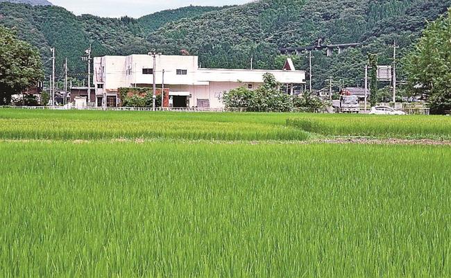 鳥取県江府町が事業規模拡大のため取得する農地。後方は旧パチンコ店=同町佐川
