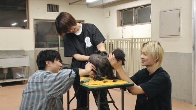 1日放送『嗚呼!!みんなの動物園』より (C)日本テレビ