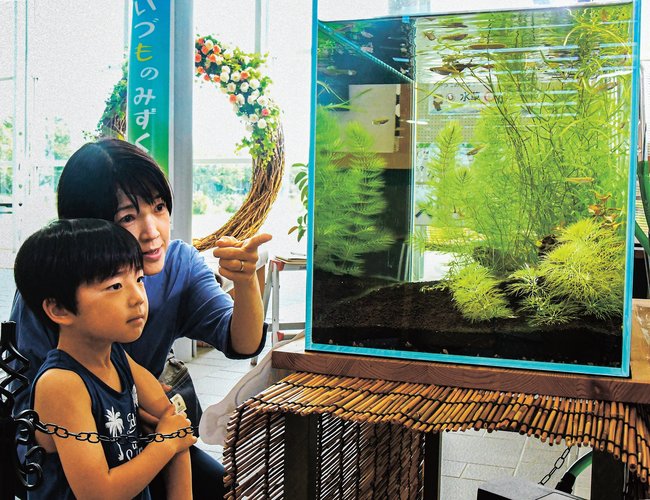 水槽の水草を見る来場者＝出雲市西新町２丁目、しまね花の郷