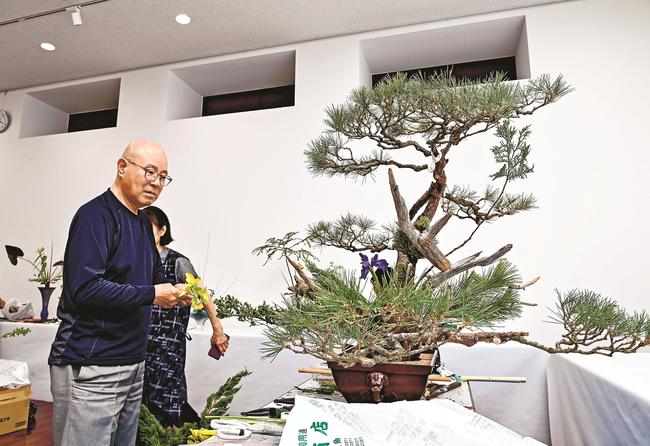 松を中心とした作品を生ける石本建二さん＝益田市有明町、島根県芸術文化センター・グラントワ