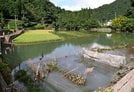江の川の支流・矢谷川があふれ、水に漬かった農地＝１５日午前８時４０分、島根県川本町川本の谷地区