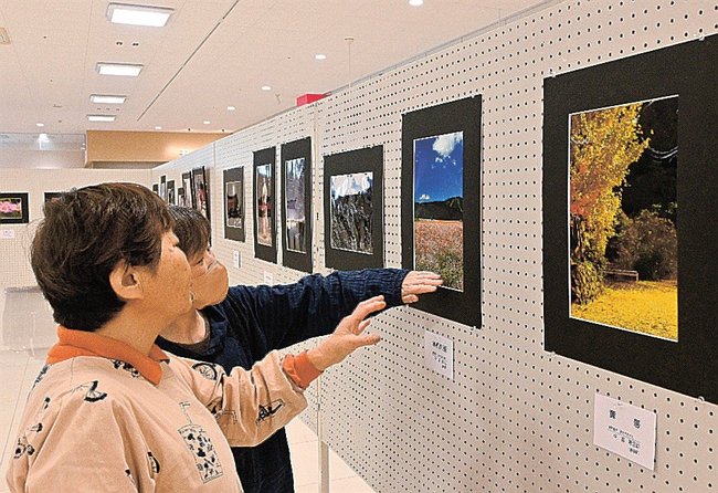 季節感のある写真を鑑賞する来場者=益田市常盤町、キヌヤ益田ショッピングセンター