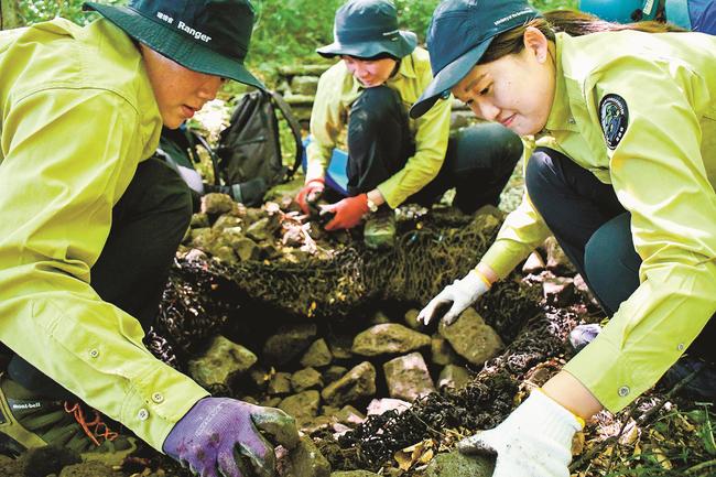 「水叩工」の手入れをする参加者＝鳥取県大山町大山、大山夏山登山道