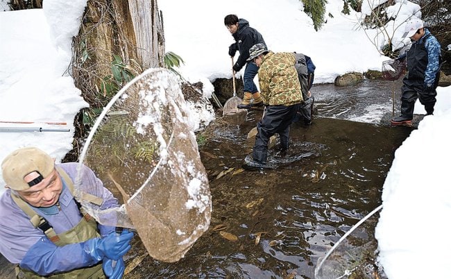 河川に入り、調査をする参加者ら＝安来市広瀬町西谷