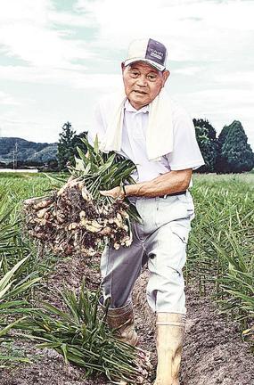 ありし日に収穫をする故永戸豊さん＝出雲市斐川町出西（２０１９年８月７日撮影）