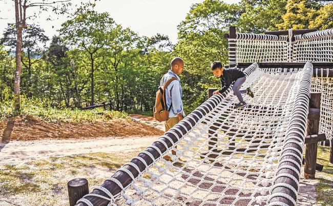 木々に囲まれた新アスレチックを楽しむ子ども＝県立ふるさと森林公園、松江市宍道町佐々布