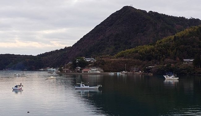 岸を離れる漁船＝１日午後４時５８分、島根県隠岐の島町港町、西郷港（読者提供）