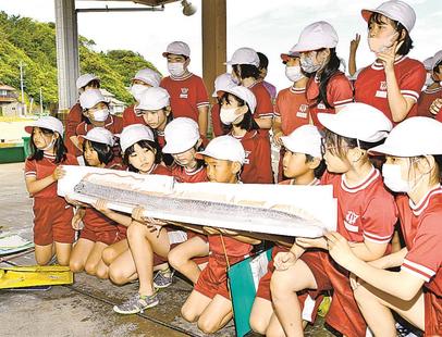 リュウグウノツカイ 人気 益田 | 山陰中央新報デジタル