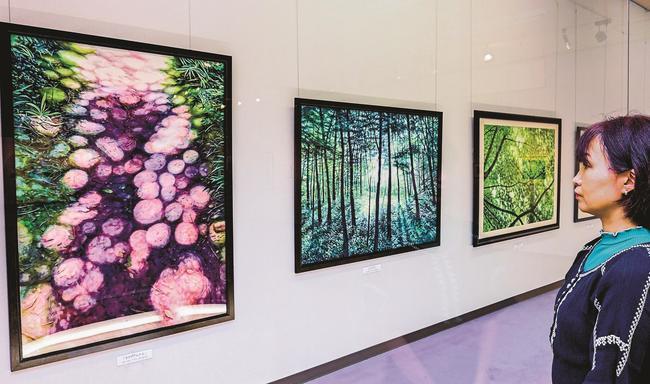 林床に落ちる木漏れ日を描いた「モリヲアルクⅠ」などの作品を見るスタッフ＝鳥取県南部町下中谷、祐生出会いの館