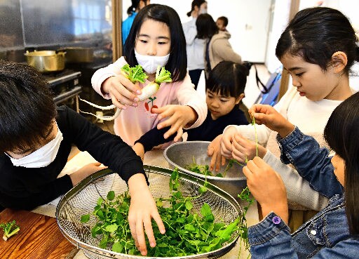 七草を調理する子どもたち=江津市江津町、甍街道交流館