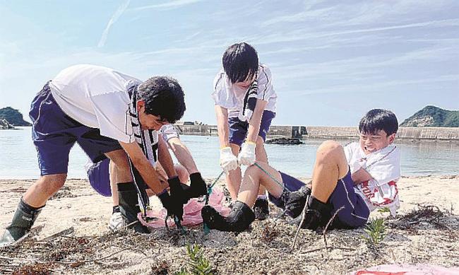 砂浜に埋まっているごみを拾う生徒＝松江市鹿島町御津、御津の海岸