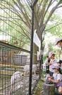 新緑とともに動物への餌やりも楽しめる愛宕山公園＝出雲市平田町