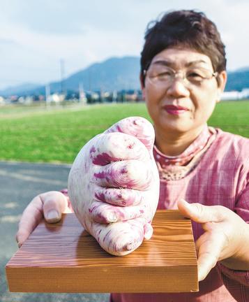 指を交互に組んで合掌し、祈っているように見える大根＝出雲市斐川町求院