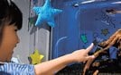
          
七夕にちなんだ魚を観賞する子ども＝浜田市・江津市、しまね海洋館アクアス
        