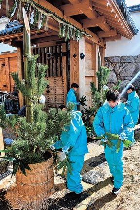 ササを飾って門松を仕上げる生徒たち＝鳥取市東町２丁目、鳥取城跡