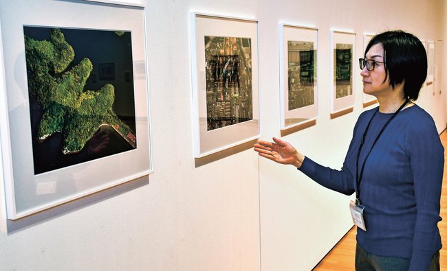 作品を紹介する川西由里専門学芸員＝益田市有明町、島根県立石見美術館