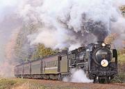 SL機関車ライト 蒸気機関車】D51194 津和野駅 ライトアップ撮影会【クリスマスナイト