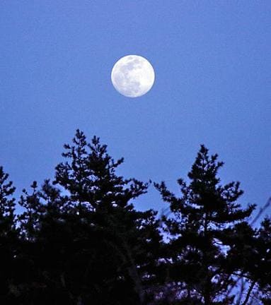 東の空に昇った満月少し前の月＝２０１９年４月１８日、大田市の三瓶山北の原で撮影（さつえい）