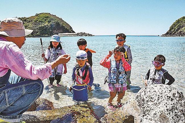 海の生き物を探す子どもたち＝松江市島根町野波