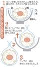 握らないおにぎりの作り方