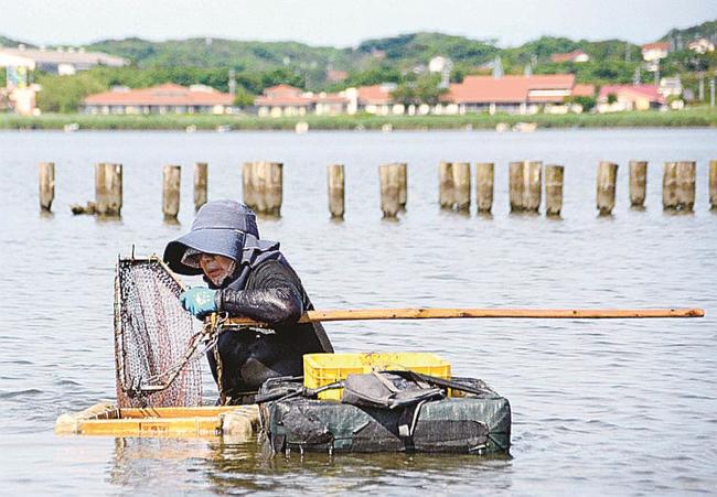 神西湖でシジミ漁をする漁師=出雲市神西沖町